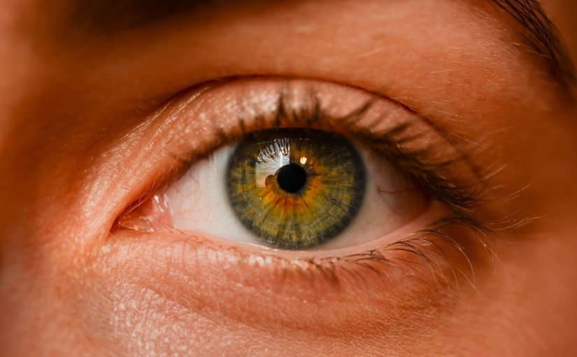 Oczy to szczególny organ. To dokładnie dzięki nim widzimy.